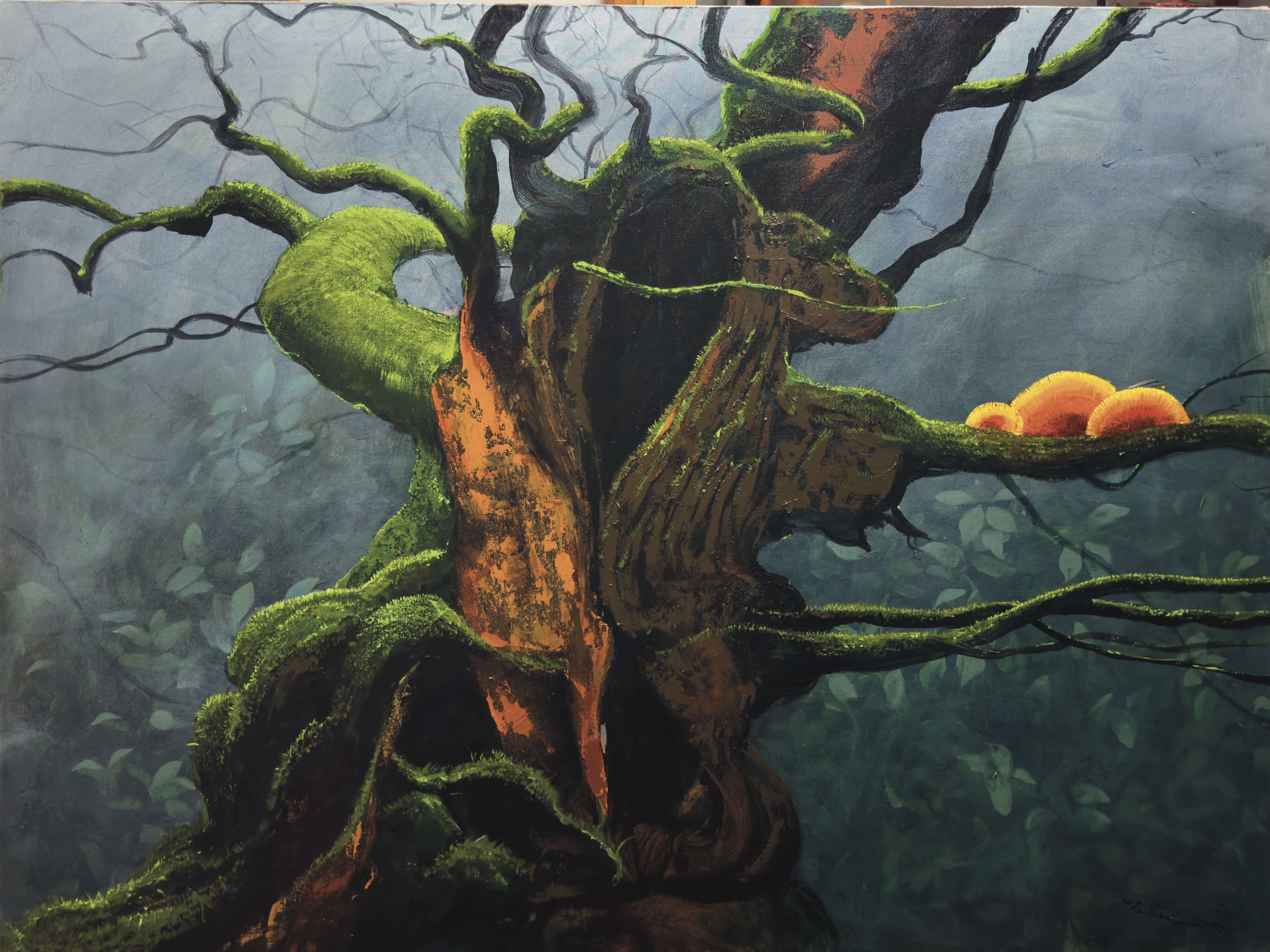 Mushrooms in an Ancient Treescape