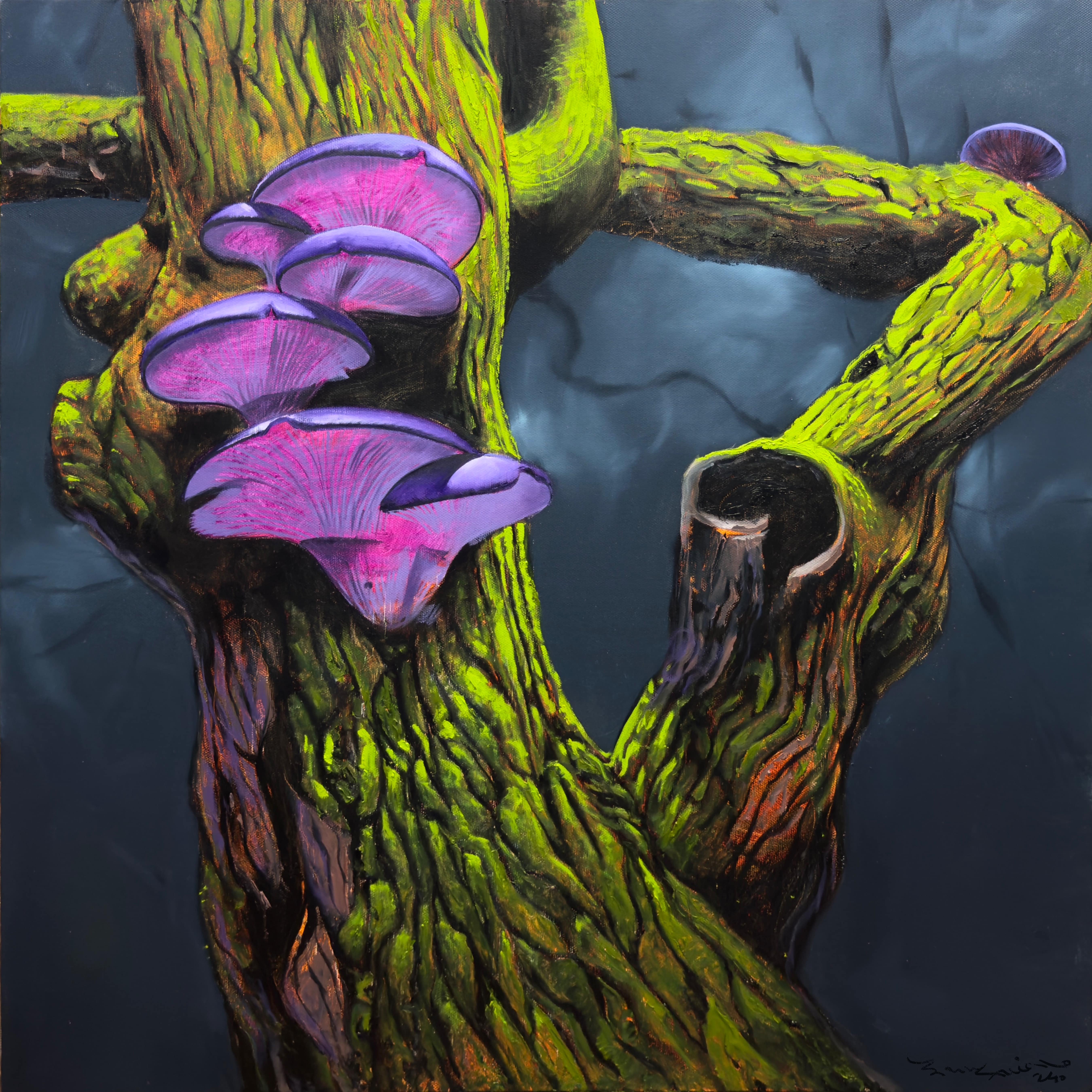 Violet Mushrooms on Ancient Bark