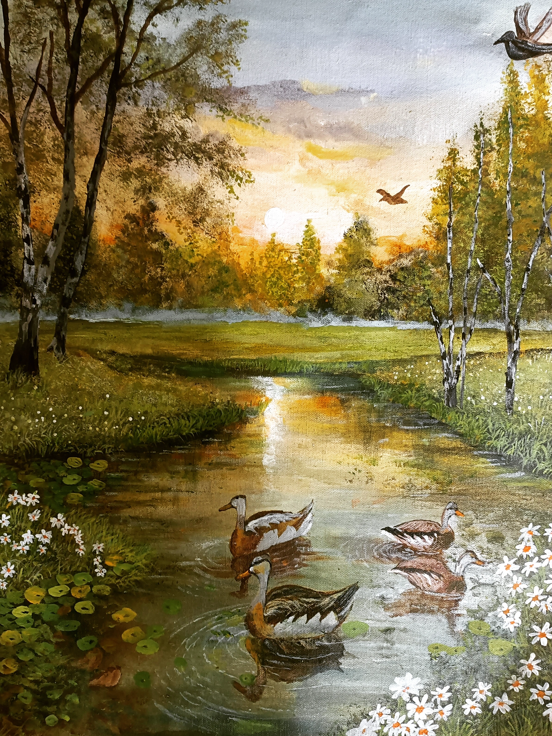 Serenity - River With Ducks In The Sunset 