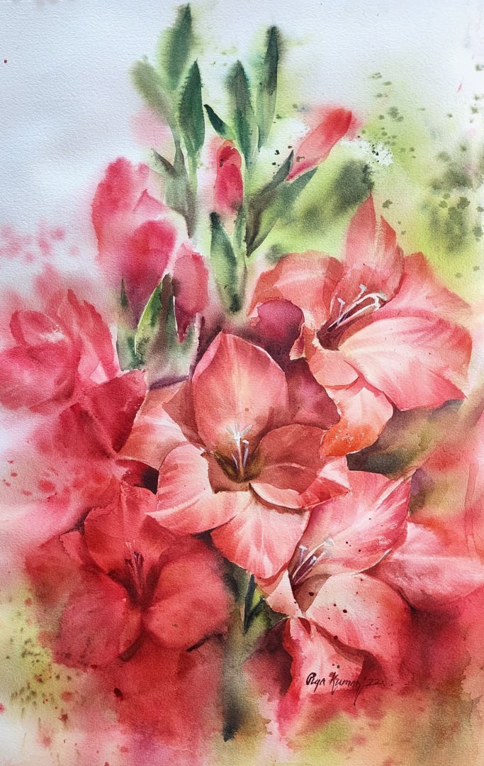 Gladiolus