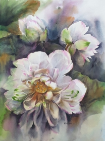 Auspicious Lotus 2