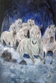 Seven horses in the dark forest 